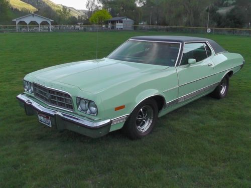 Model Year 1973 Ford Torino De